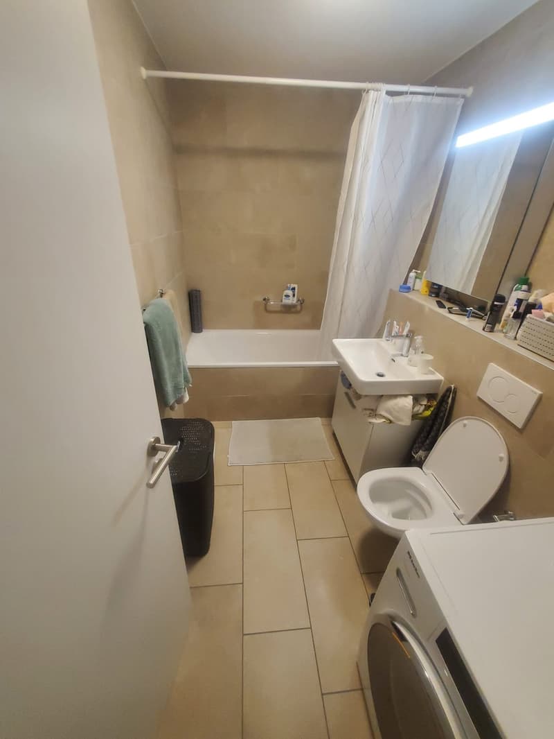 REPRISE DE BAIL - Bel appartement rénové de 3 pièces situé au bord du lac (5)