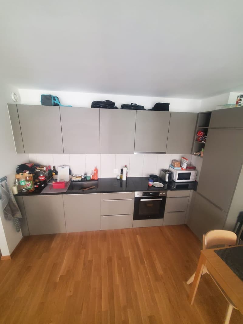 REPRISE DE BAIL - Bel appartement rénové de 3 pièces situé au bord du lac (3)