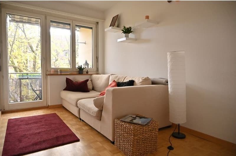 WG-Zimmer beim Loryplatz (3)