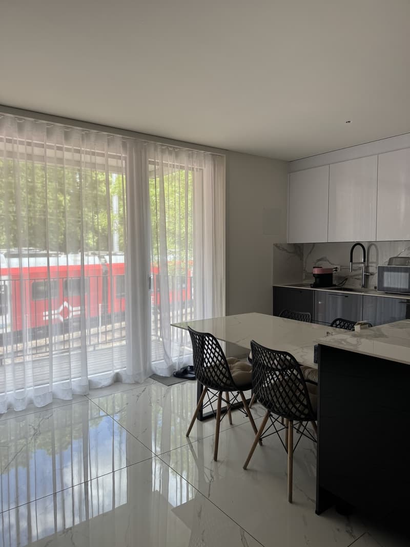 4,5 Pièces avec 2 Salles de bain Appartement meublé récemment disponible pour sous-location (3)