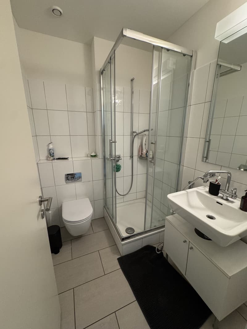 4,5 Pièces avec 2 Salles de bain Appartement meublé récemment disponible pour sous-location (7)