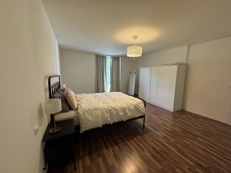 4,5 Pièces avec 2 Salles de bain Appartement meublé récemment disponible pour sous-location (11)
