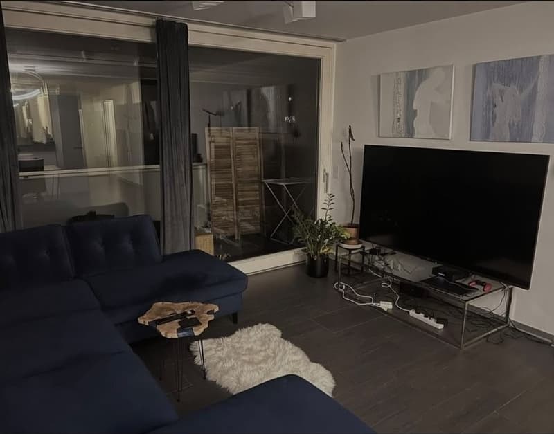 Louer une chambre dans un appartement partagé à Zurich (8)