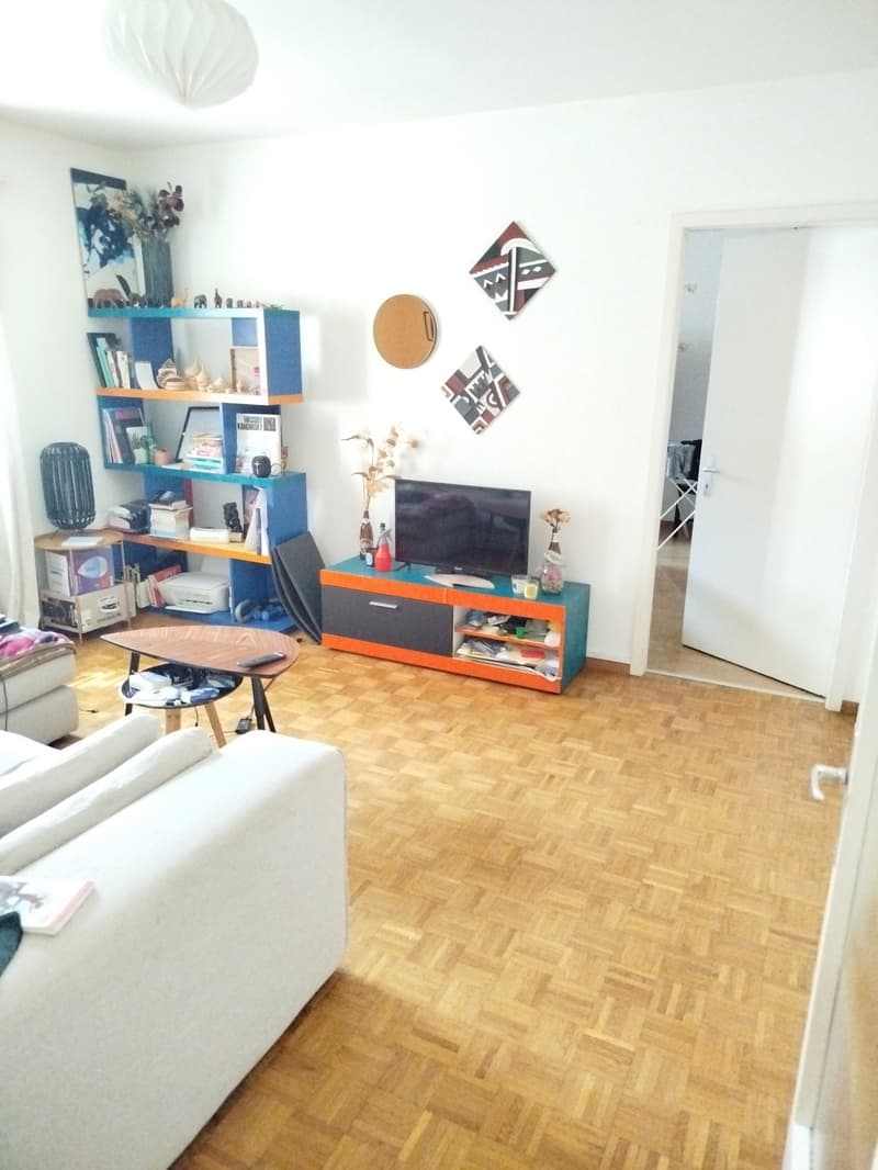 Bell'appartamento di 2.5 locali nel centro di Fribourg - arredato da dare (2)