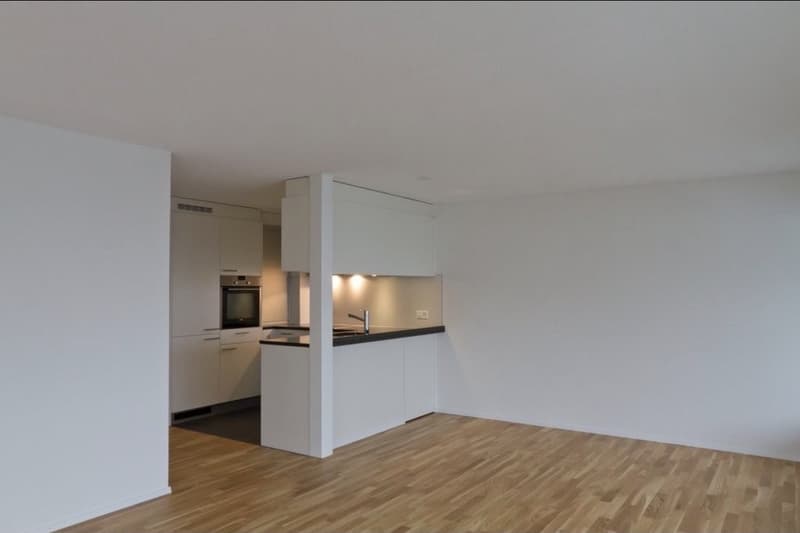 Nachmieter für 3,5 Raum Wohnung gesucht! (1)