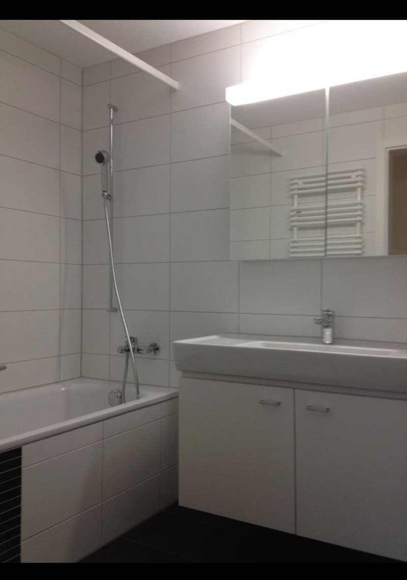 Nachmieter für 3,5 Raum Wohnung gesucht! (2)
