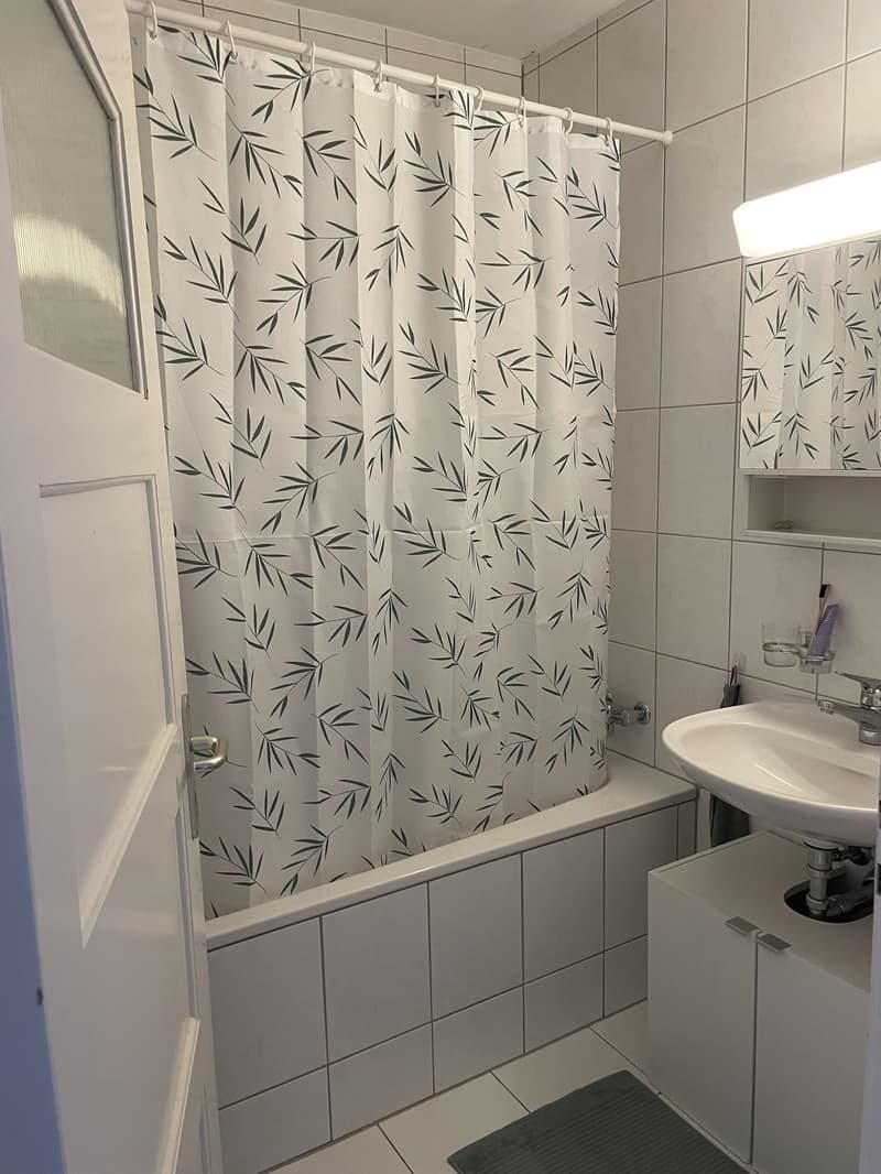 BEFRISTETE 3-Zimmer-Wohnung per September 2026 (6)