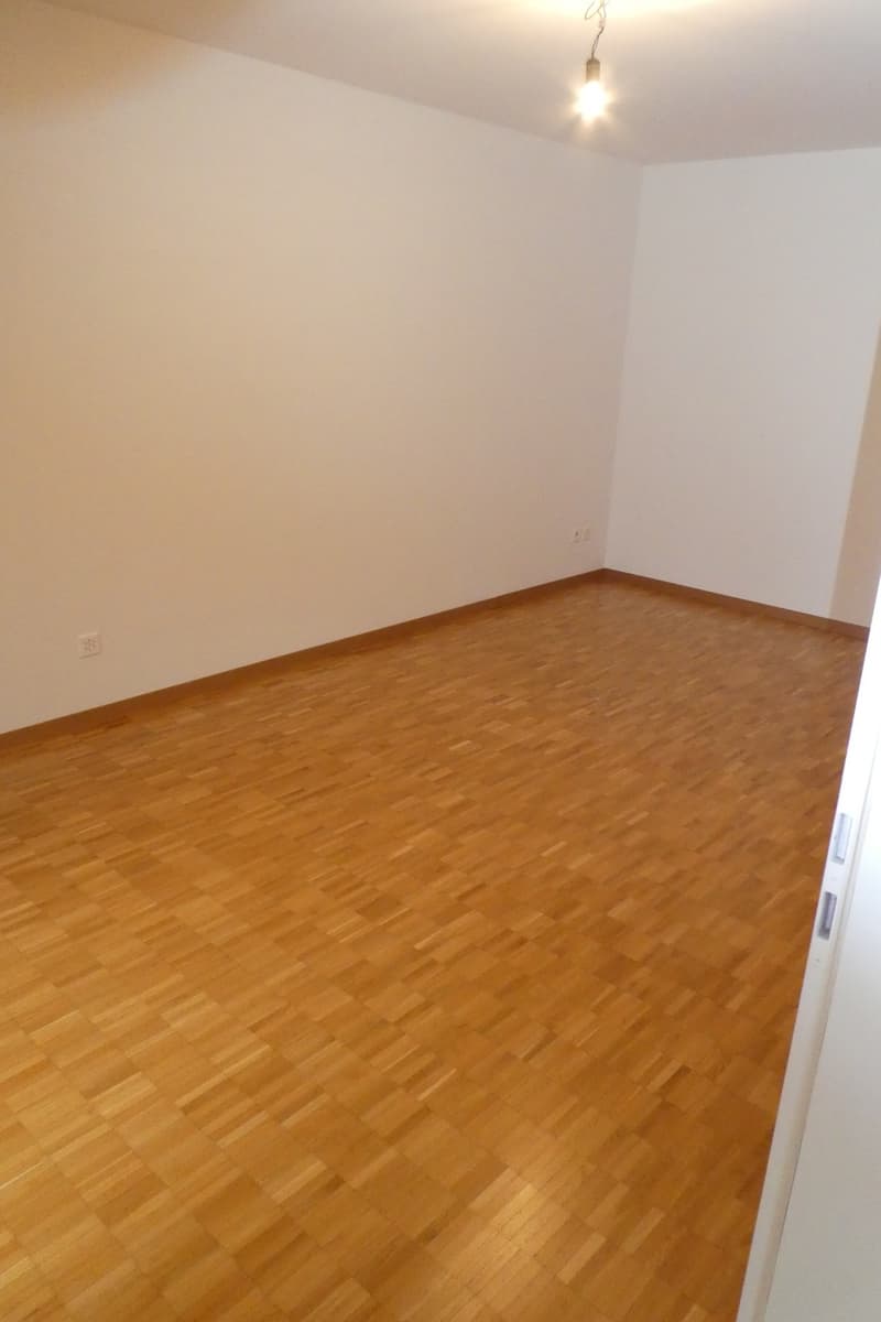 2.5 Zimmer Wohnung mit viel Licht und viel Grün (6)