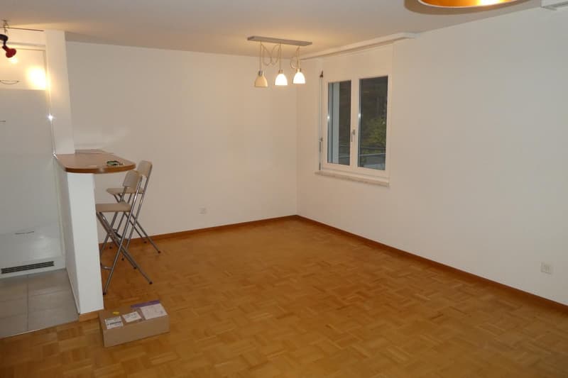 2.5 Zimmer Wohnung mit viel Licht und viel Grün (2)