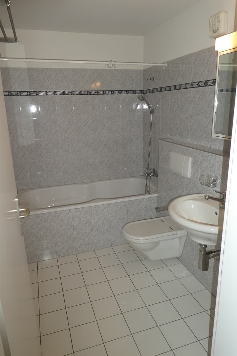 2.5 Zimmer Wohnung mit viel Licht und viel Grün (8)