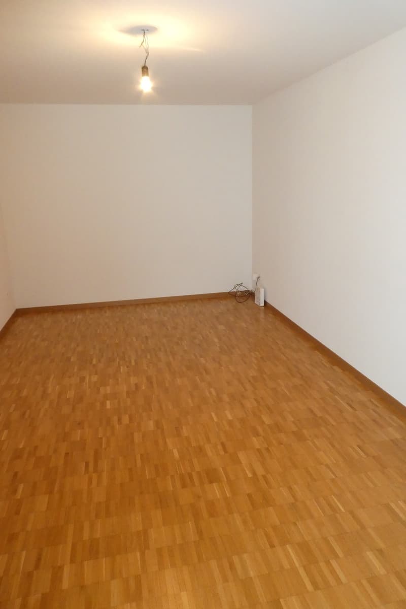 2.5 Zimmer Wohnung mit viel Licht und viel Grün (5)