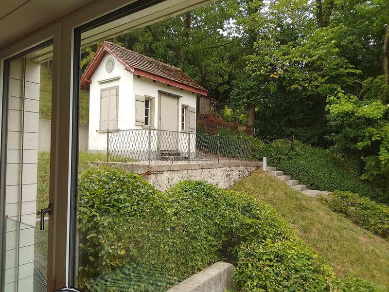 Helle, moderne 3-Zi-Whg (4)