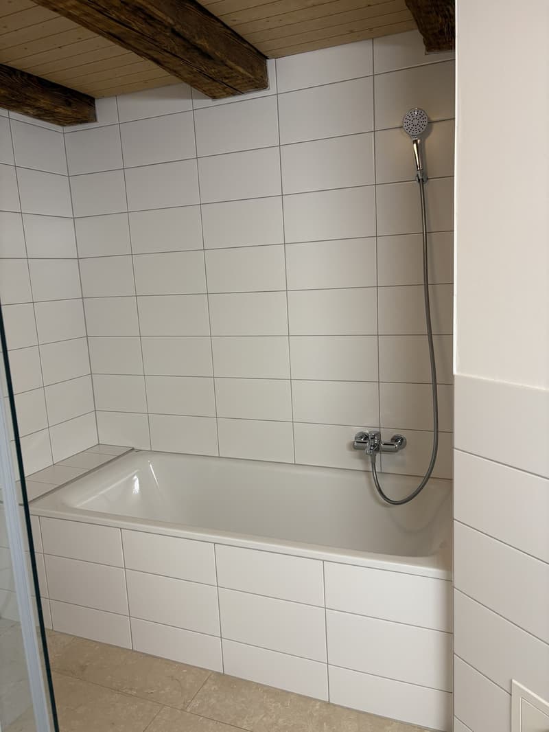 4 ½ Zimmer-Wohnung, 4226 Breitenbach (8)