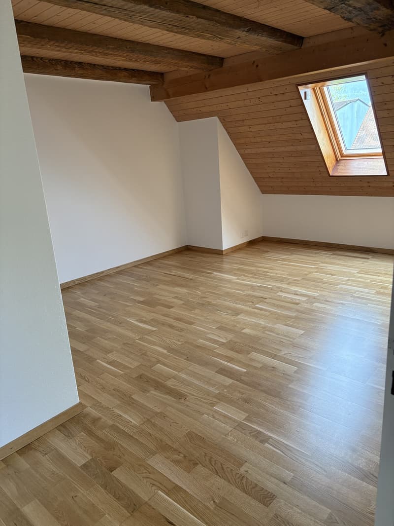 4 ½ Zimmer-Wohnung, 4226 Breitenbach (11)