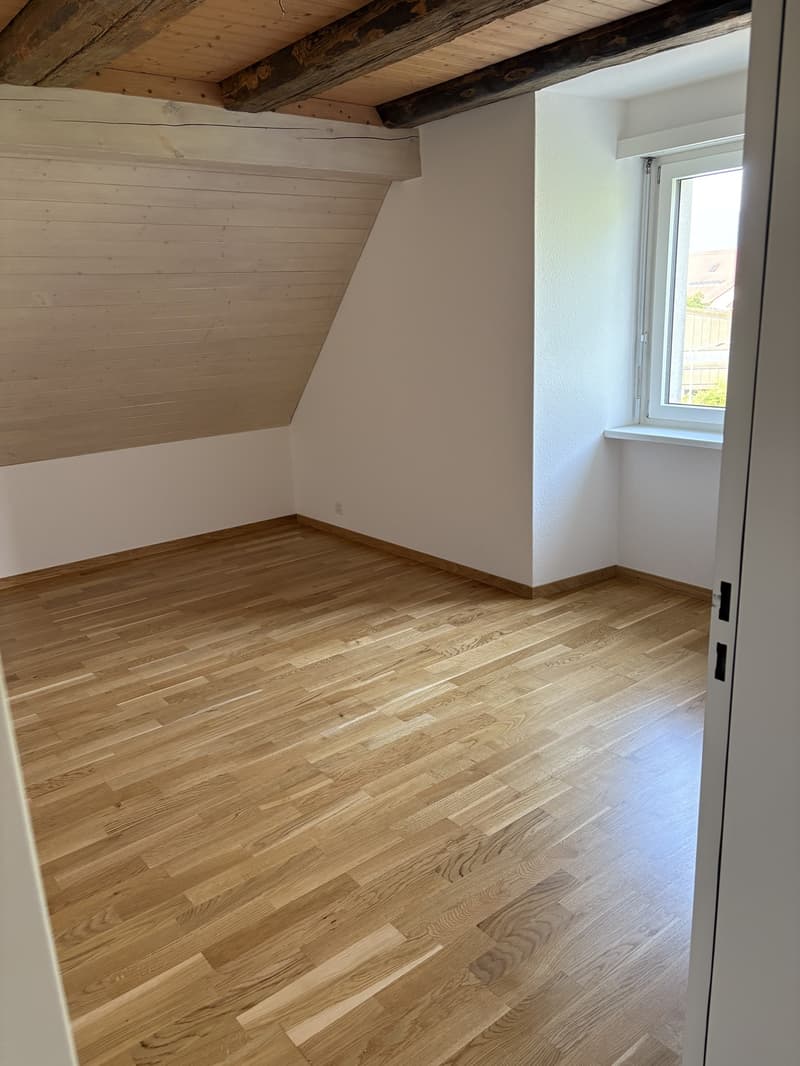 4 ½ Zimmer-Wohnung, 4226 Breitenbach (9)