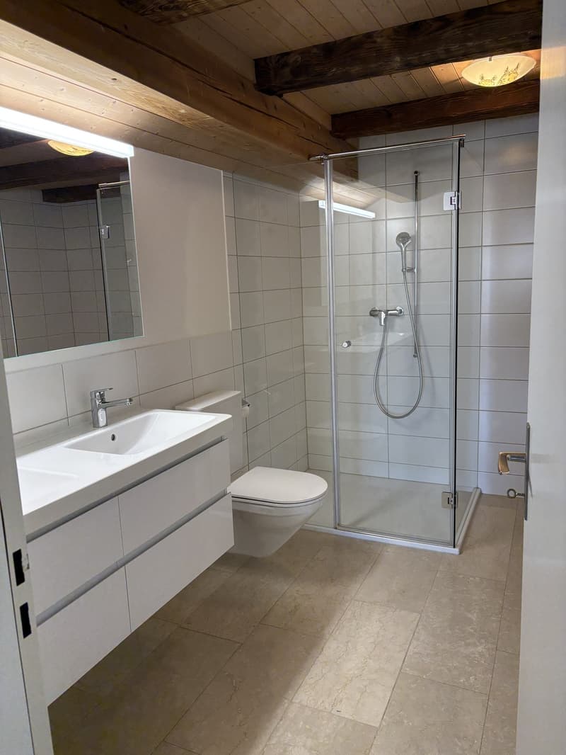 4 ½ Zimmer-Wohnung, 4226 Breitenbach (10)