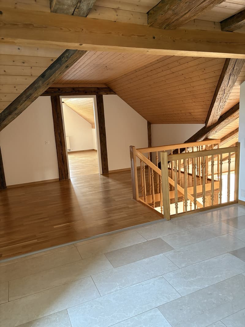 4 ½ Zimmer-Wohnung, 4226 Breitenbach (6)