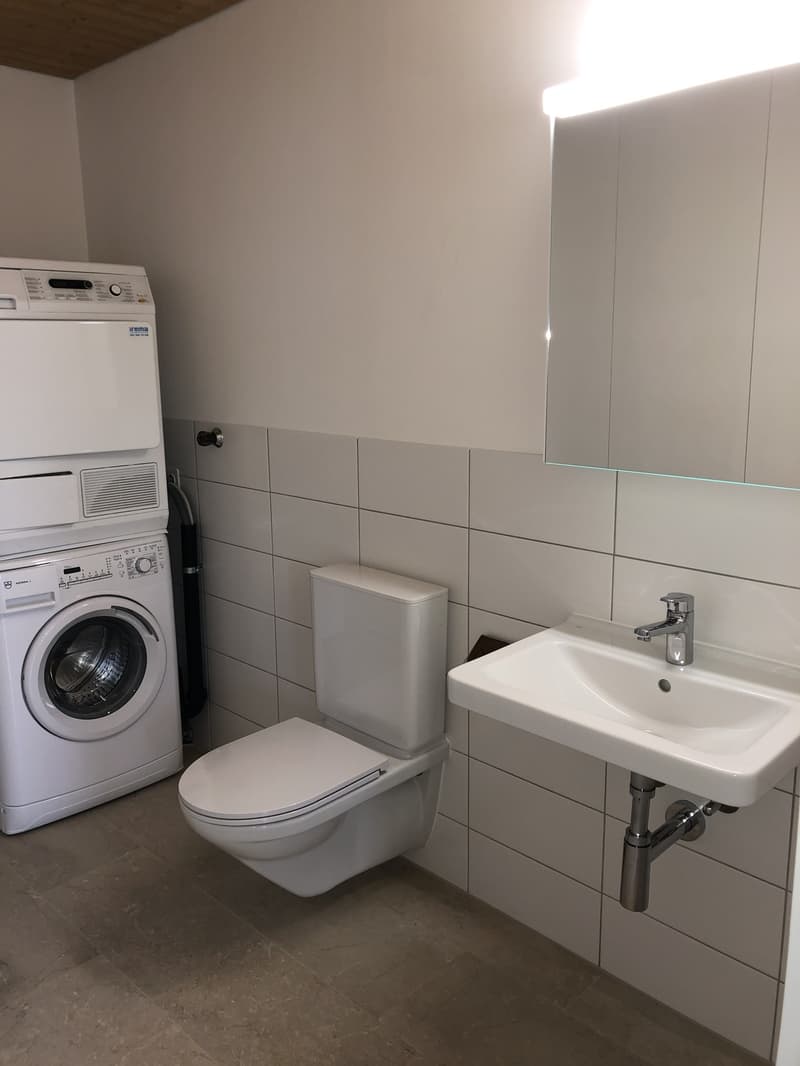 4 ½ Zimmer-Wohnung, 4226 Breitenbach (4)