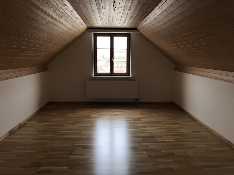 4 ½ Zimmer-Wohnung, 4226 Breitenbach (7)