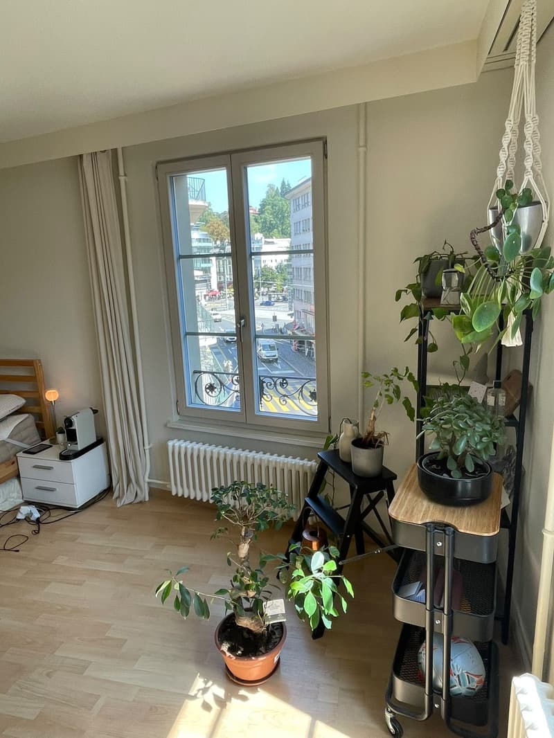 Furnished room for sublet in the old town of Lucerne (September to mid/late December) (2)