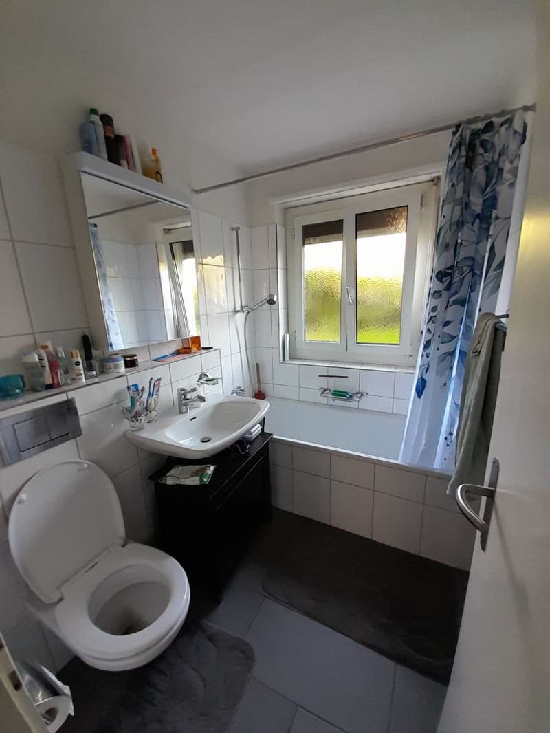 Furnished 3½-room apartment (12)