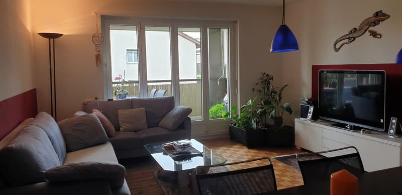 Furnished 3½-room apartment (2)