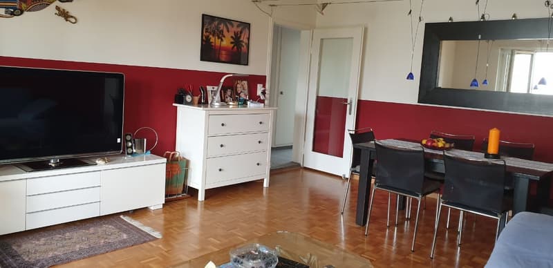 Furnished 3½-room apartment (4)