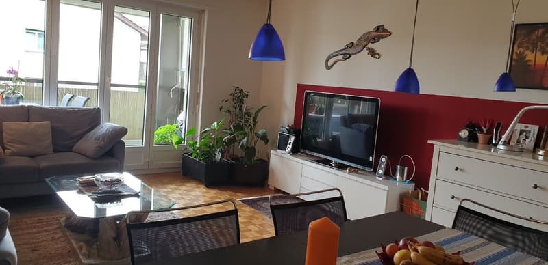 Furnished 3½-room apartment (3)