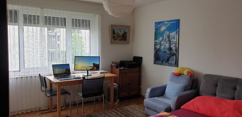 Furnished 3½-room apartment (8)