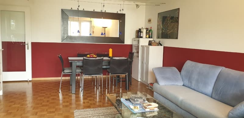 Furnished 3½-room apartment (5)