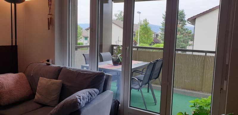 Furnished 3½-room apartment (13)
