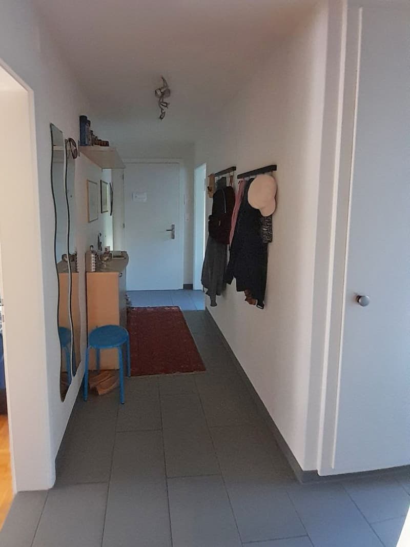 Furnished 3½-room apartment (6)