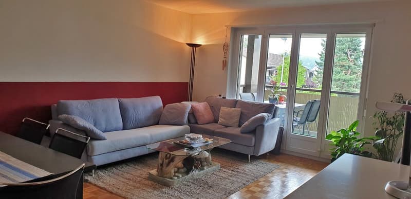 Furnished 3½-room apartment (1)