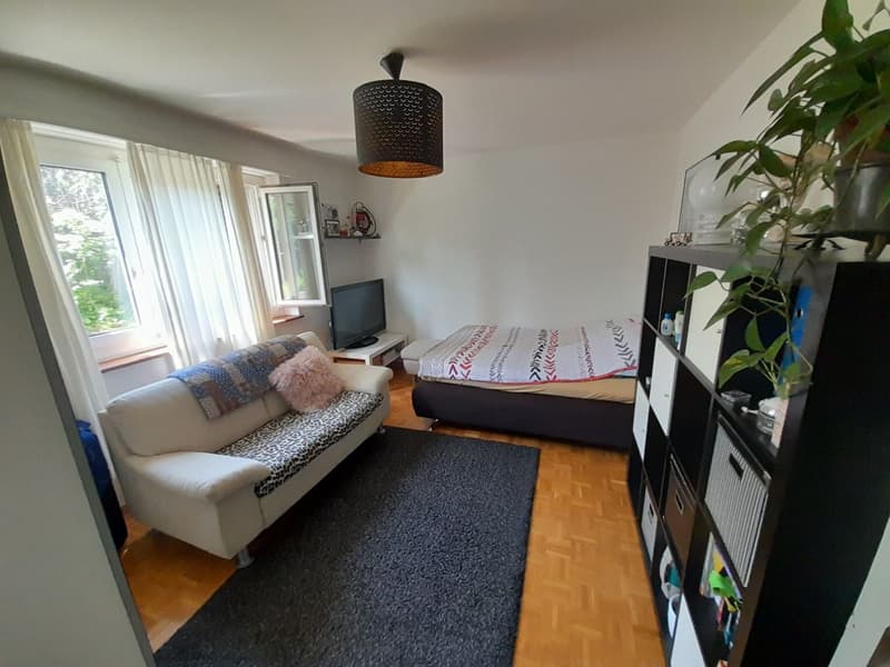 Furnished 3½-room apartment (9)
