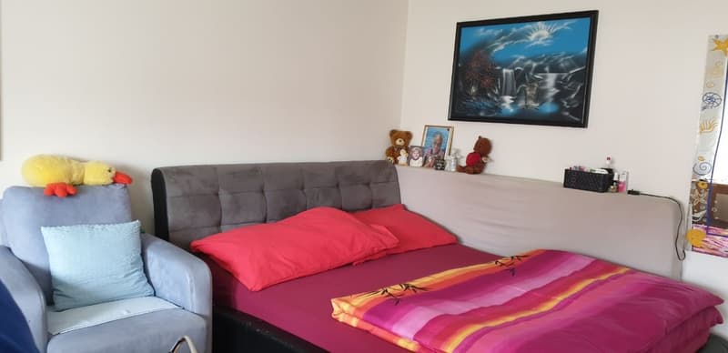 Furnished 3½-room apartment (7)