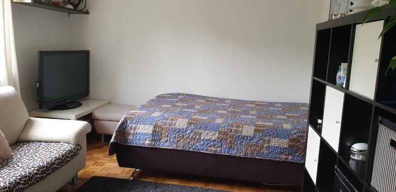 Furnished 3½-room apartment (10)