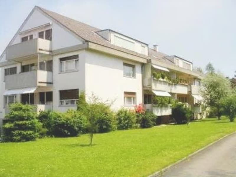 Inquilino ricercato a Reinach BL CHF 700 incl. spese accessorie (1)