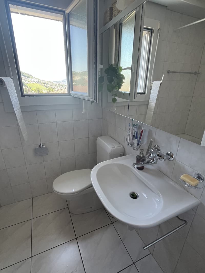 Helle Wohnung mit super Aussicht (4)