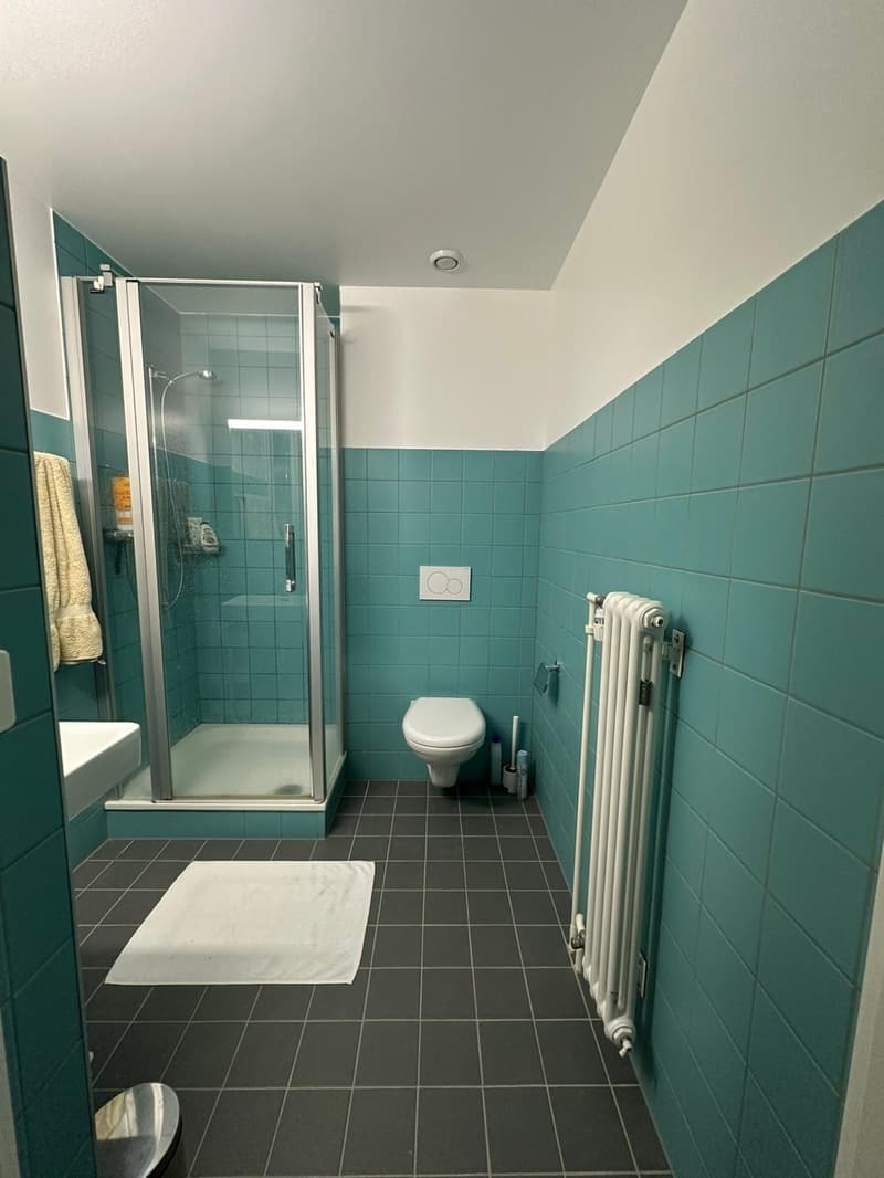 Monolocale 27 m² da ristrutturare a Chavannes-près-Renens, ideale per studenti (8)