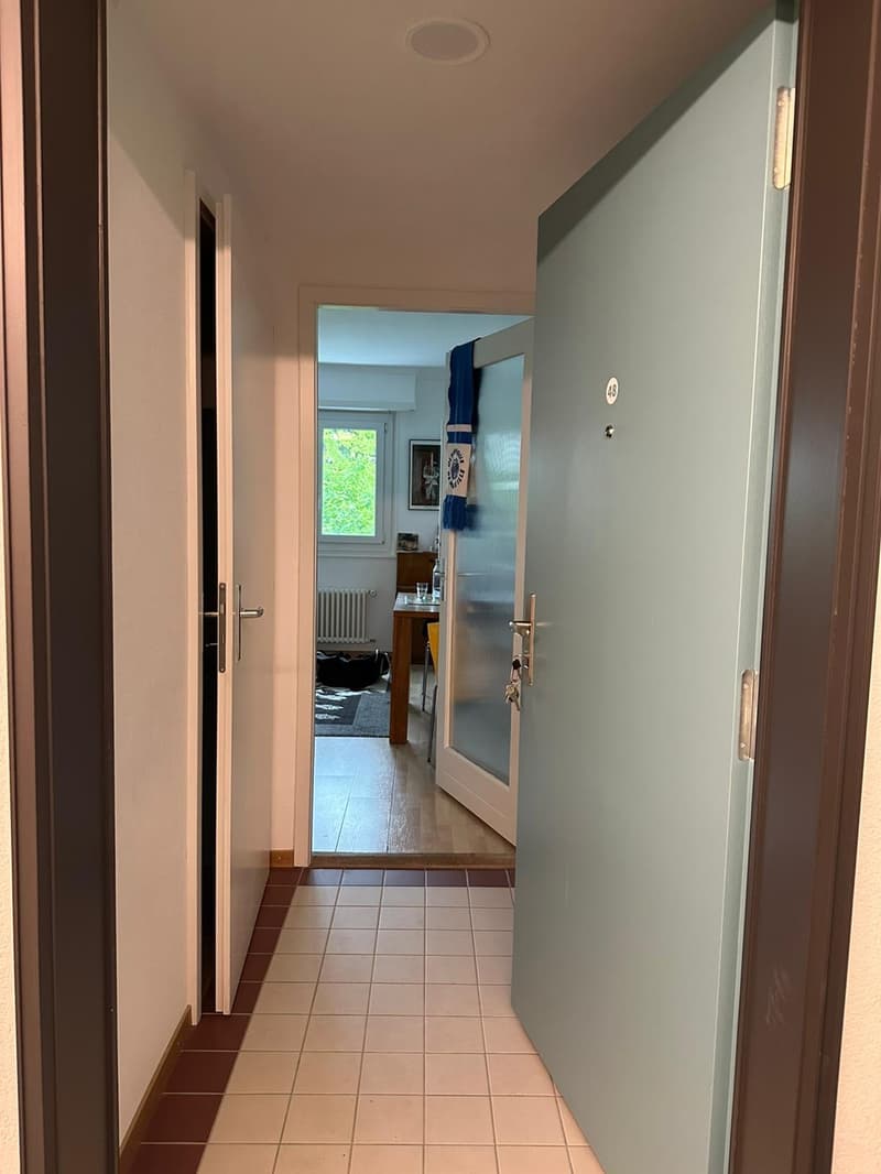 Monolocale 27 m² da ristrutturare a Chavannes-près-Renens, ideale per studenti (2)