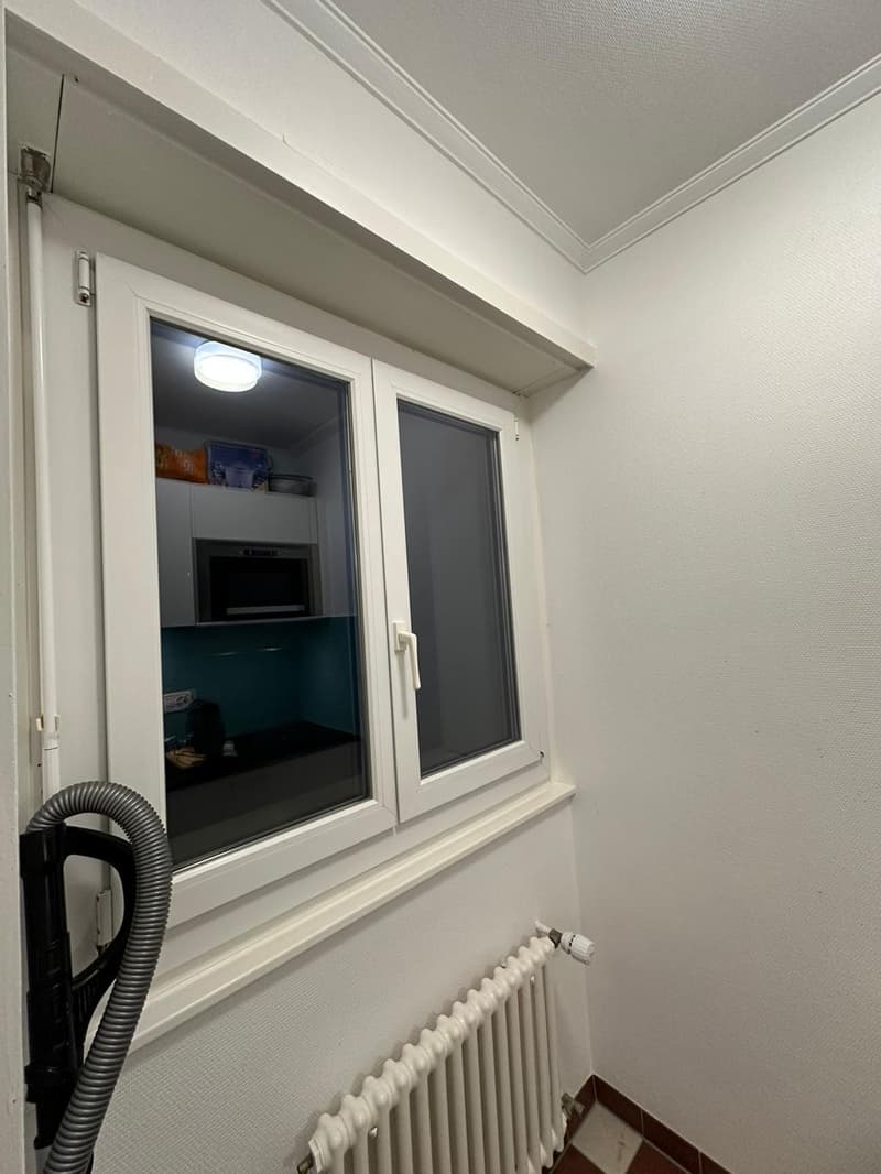 Monolocale 27 m² da ristrutturare a Chavannes-près-Renens, ideale per studenti (6)