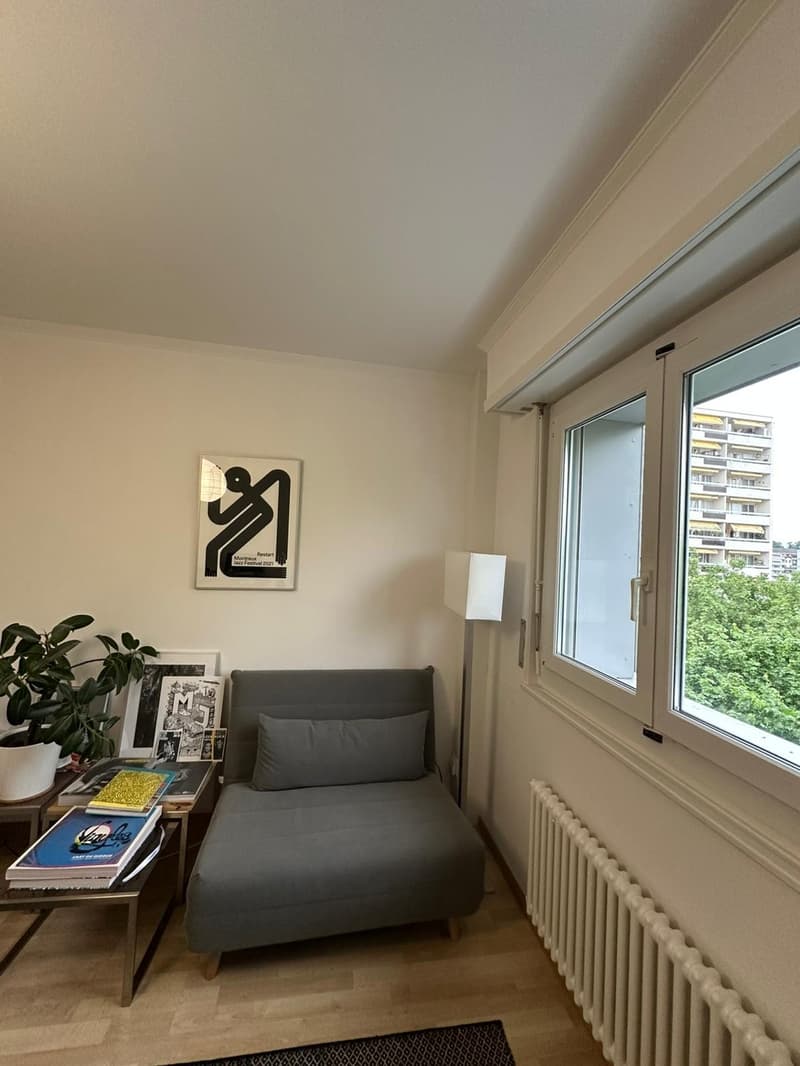 Monolocale 27 m² da ristrutturare a Chavannes-près-Renens, ideale per studenti (4)
