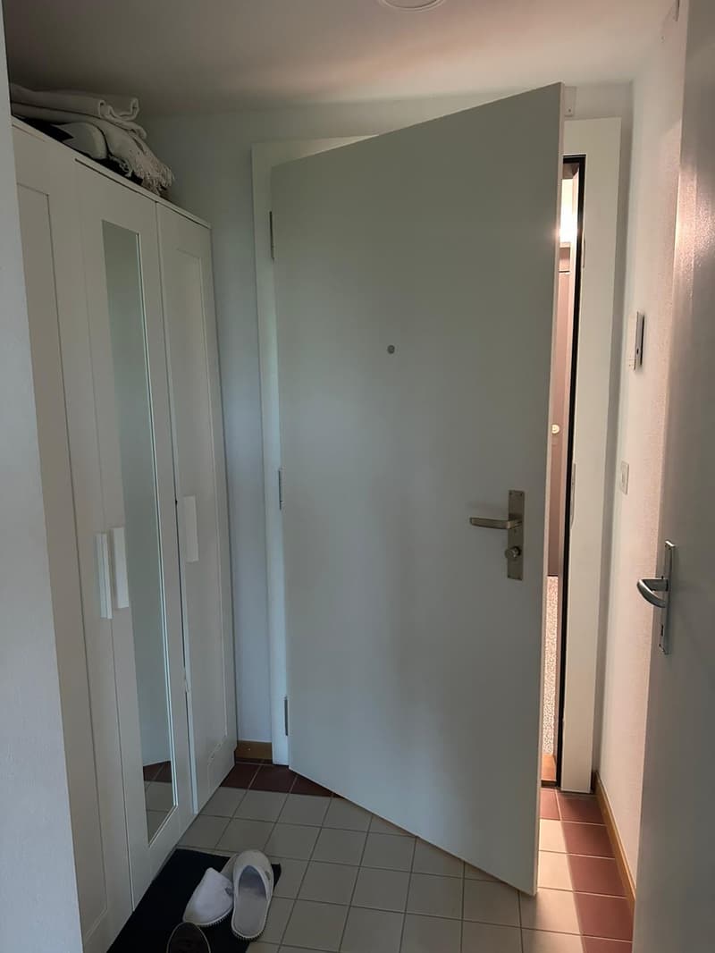 Monolocale 27 m² da ristrutturare a Chavannes-près-Renens, ideale per studenti (3)