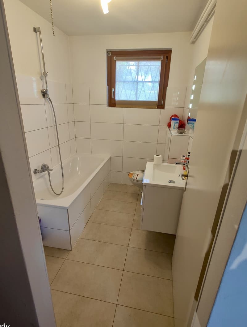 Wohnung mit Aussicht und ganz ruhig gelegen (5)