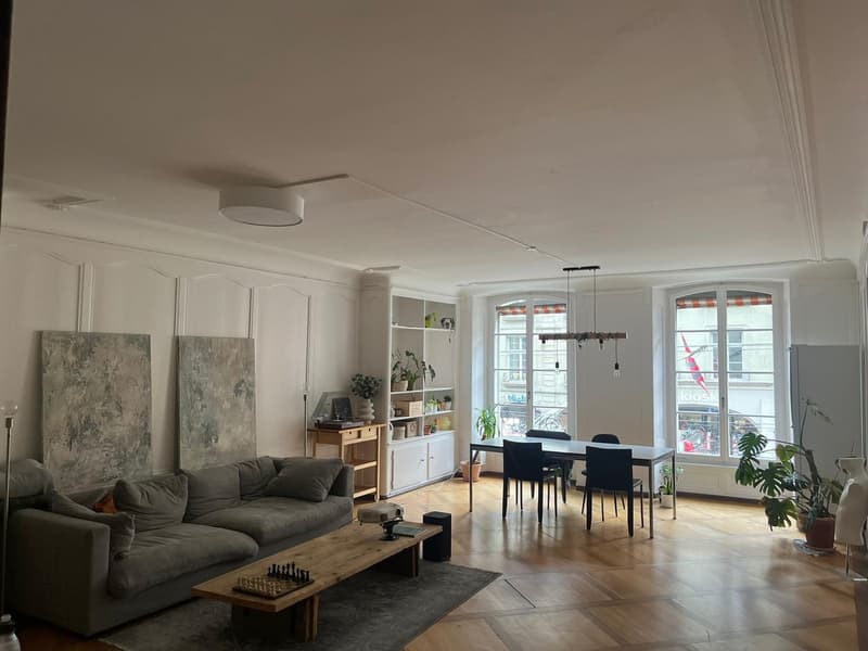Chambre en colocation à Berne (3)