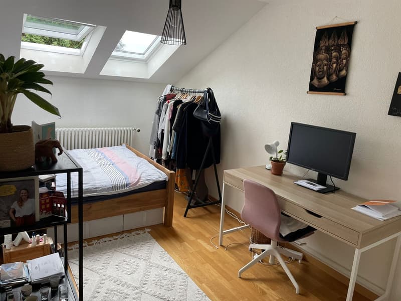 Room in spacious flatshare in Wollishofen from 24 August (3)