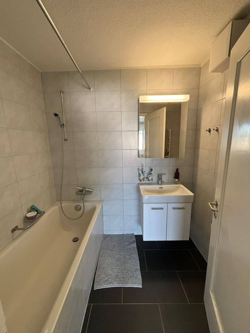 Room in spacious flatshare in Wollishofen from 24 August (4)