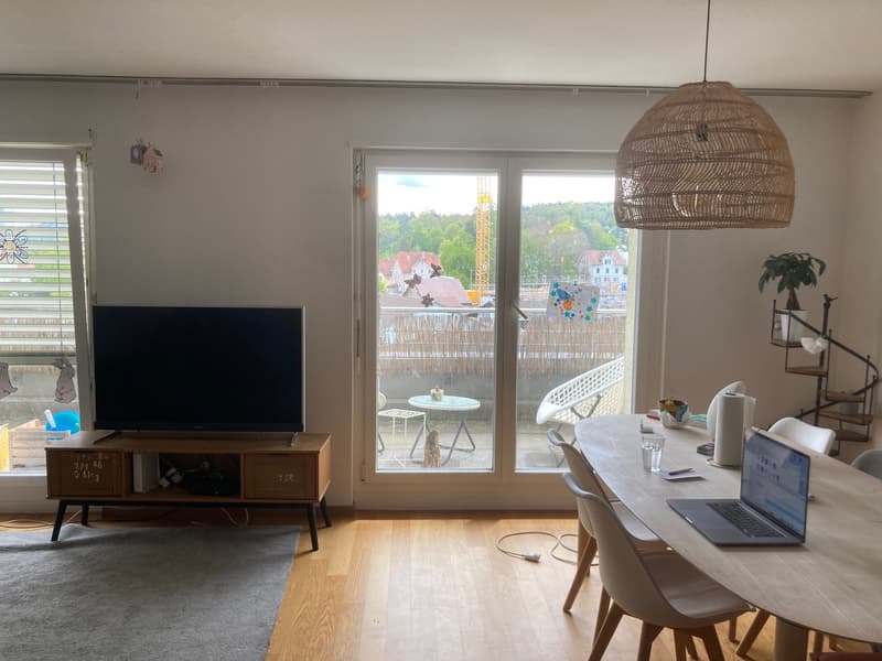 Roommate sought for 4.5 room apartment (3)