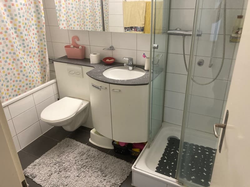 Roommate sought for 4.5 room apartment (1)
