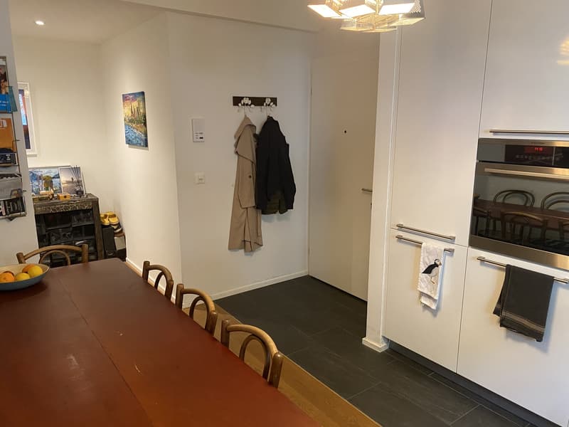 3.5 Zimmer Suterrain direkt an der Josefwiese (4)